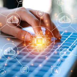 Software development, information technology